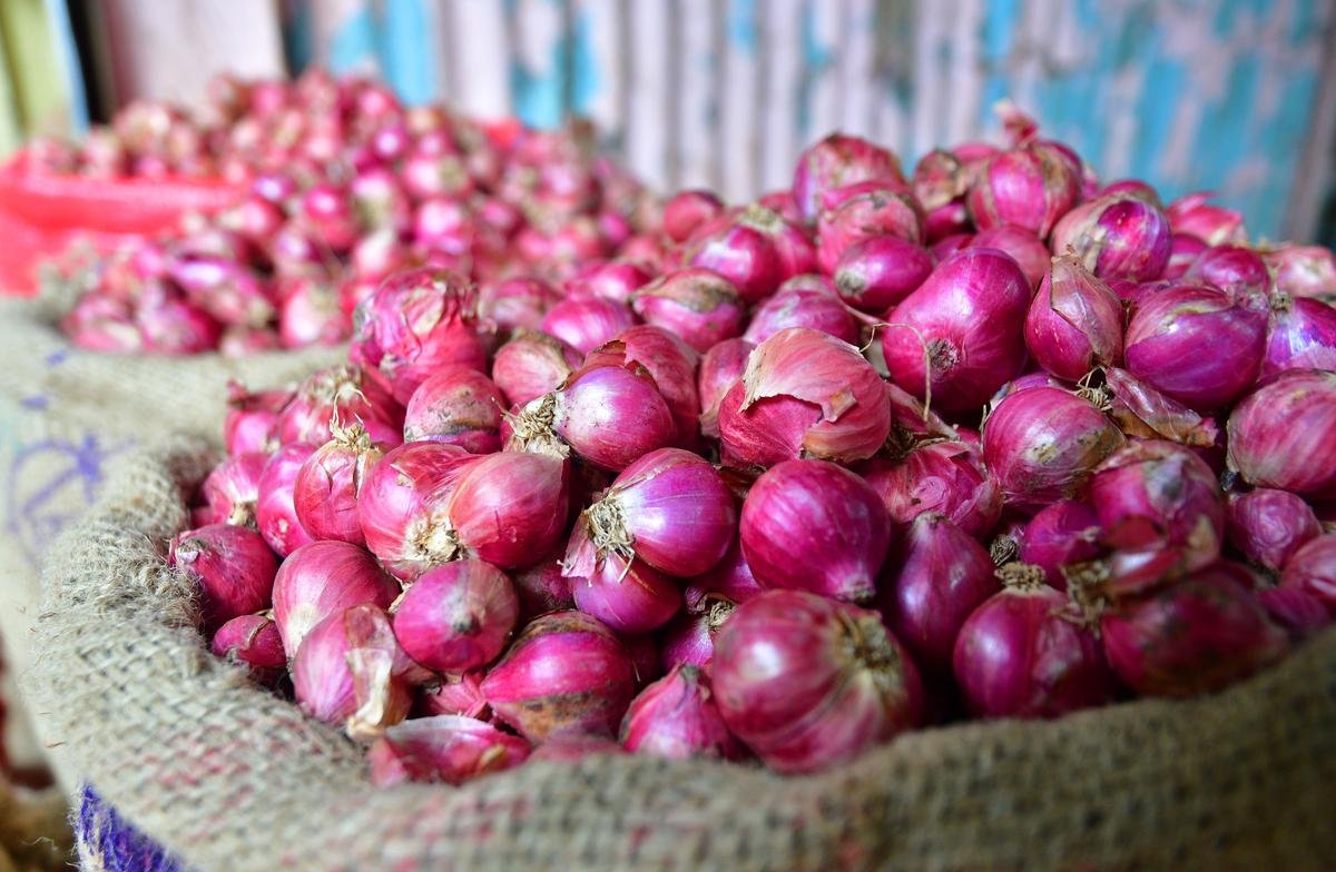 small_onion1